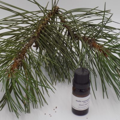 Pin Noir d'Autriche - Huile essentielle - 10 mL