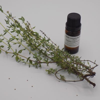 Thym - huile essentielle - 10 mL