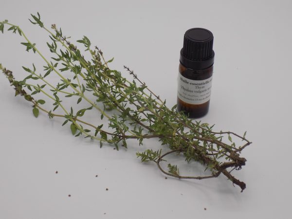 Thym - huile essentielle - 10 mL