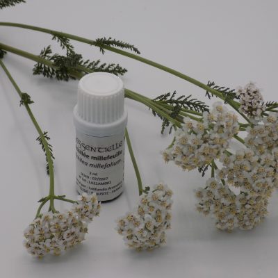Achillée millefeuille - huile essentielle - 2 mL