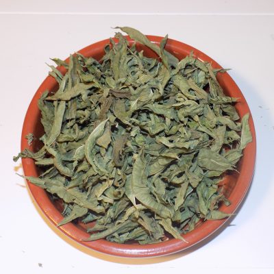 verveine feuille
